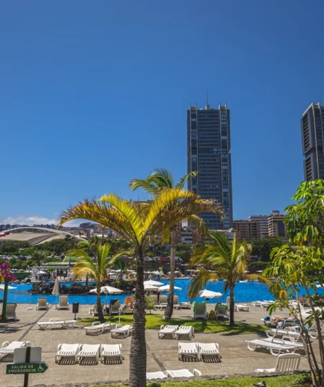 Beach With Palm Trees and Buildings