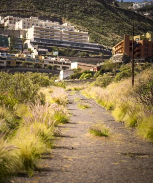 Road With Buildings on the Side