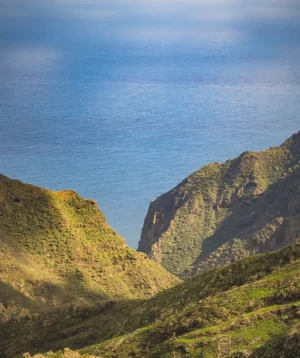 Grassy Hillside Overlooking Body of Water