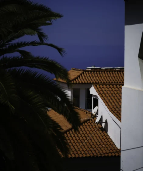 Palm Tree Next to Building