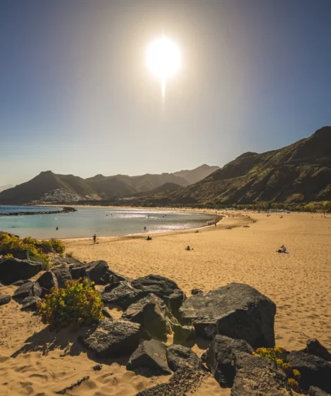 Beach With Rocks and Water