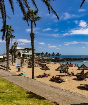 Beach With Palm Trees and Umbrellas