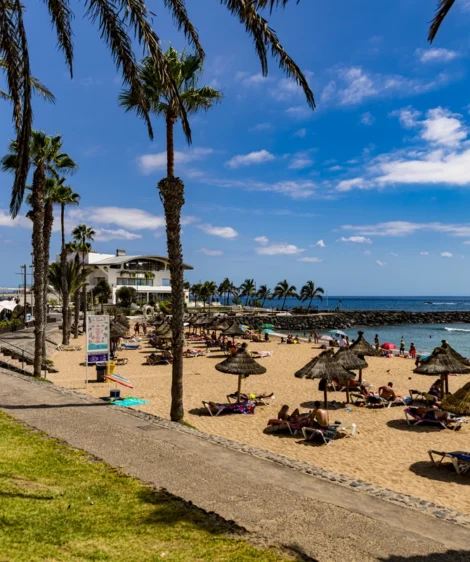 Beach With Palm Trees and Umbrellas