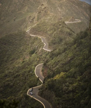Road Going Through Forest