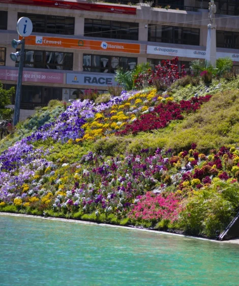 Large Flower Bed Next to River