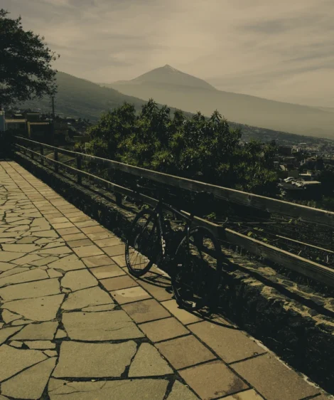 Bicycle Parked on Stone Walkway