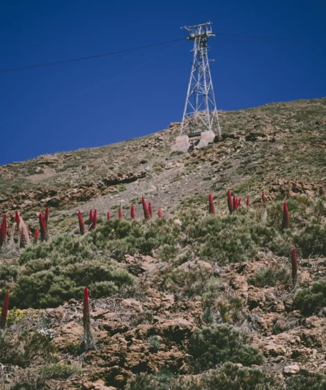 Tower on Hill