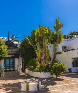 Group of Trees and Buildings