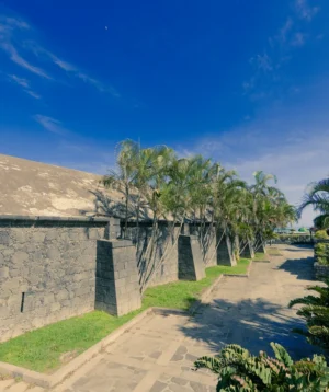 Stone Wall With Trees and Hill in the Background