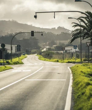 Street With Palm Trees and Buildings