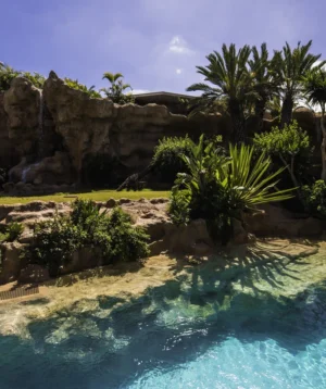 Pool With Trees and Rocks