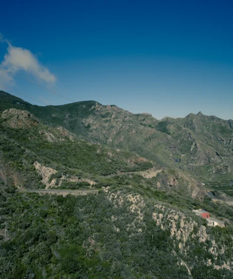 Landscape With Trees and Mountains
