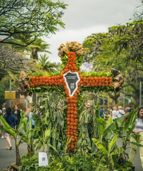 Tall Orange and Yellow Flower
