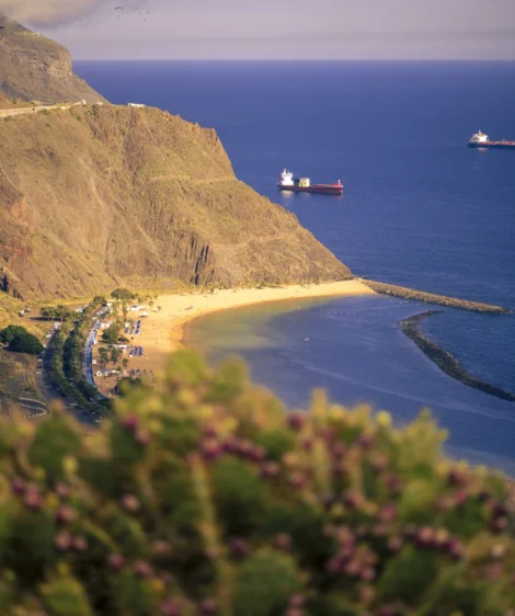 Beach With Boats and Body of Water