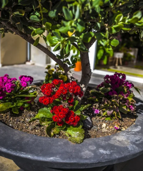 Planter With Flowers