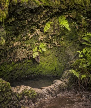 Cave in the Side of Mountain