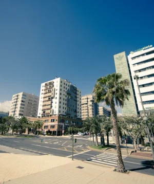 Group of Buildings With Palm Trees
