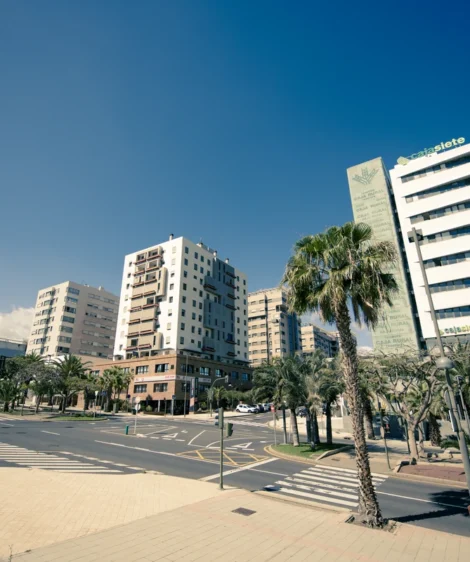 Group of Buildings With Palm Trees