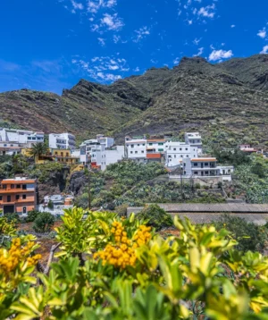 Town in the Mountains