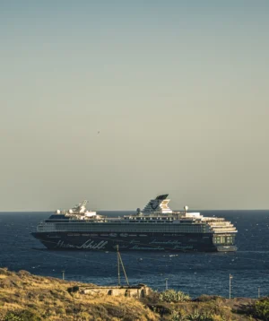 Cruise Ship in the Water