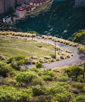 Landscape With Trees and Buildings