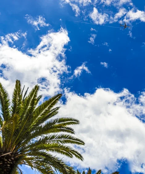 Blue Sky With Clouds and Palm Trees