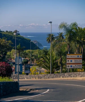 Road With Trees and Body of Water in the Background