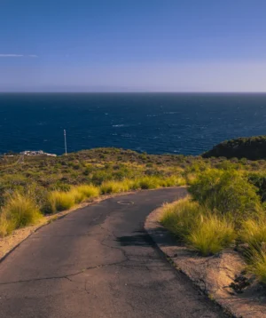 Path Leading to Beach