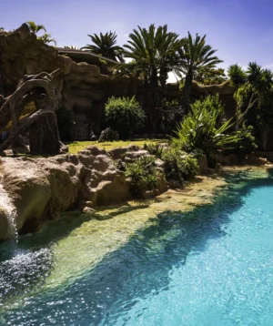 Pool of Water Surrounded by Rocks and Trees