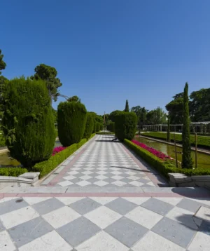 Paved Walkway With Plants and Trees