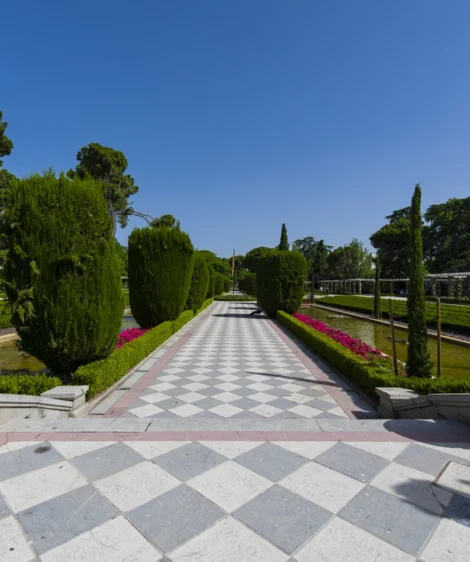 Paved Walkway With Plants and Trees