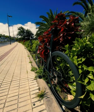 Bicycle Parked on Sidewalk