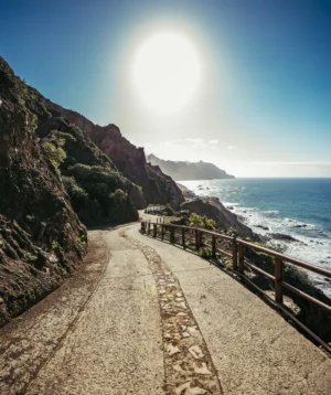 Road Next to Body of Water