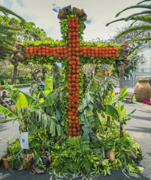 Plant With Red and Yellow Flower