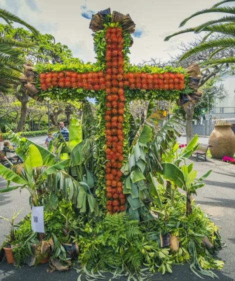 Plant With Red and Yellow Flower