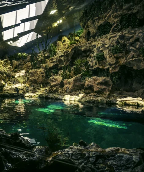 Cave With Body of Water in It