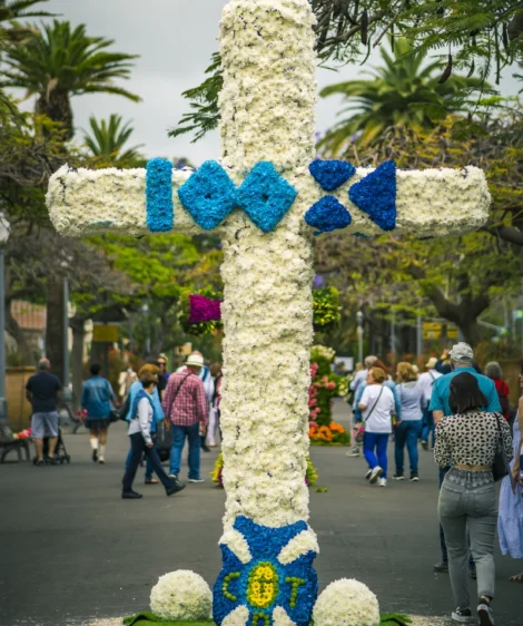 Tree With Blue and Yellow Decorations