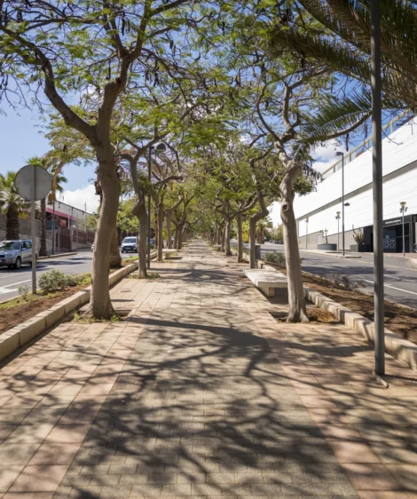 Sidewalk With Trees and Sign