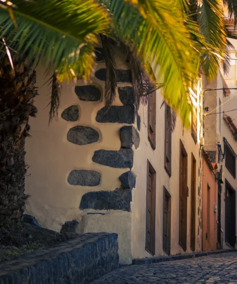 Palm Tree Next to Building