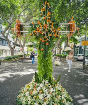 Tree With Orange Flowers