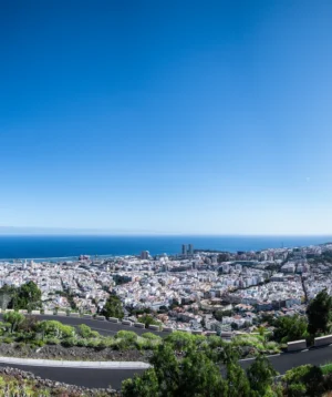 City With Many Buildings and Trees