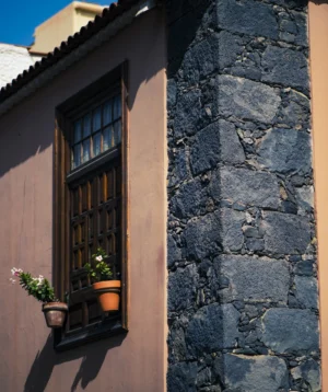 Window With Potted Plants