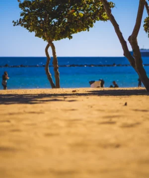 Group of People on Beach