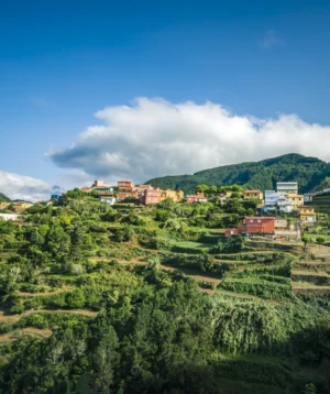 Town in the Mountains