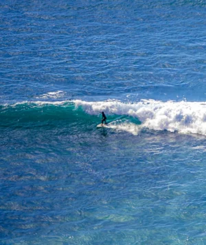Person Surfing on the Waves