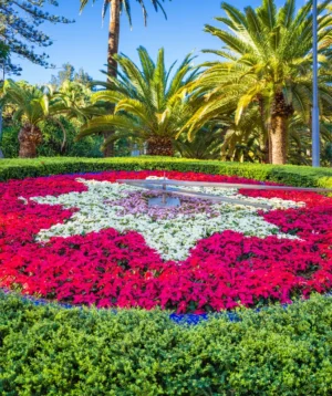 Flower Bed in Garden