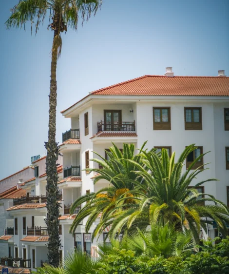 Group of Buildings With Palm Trees