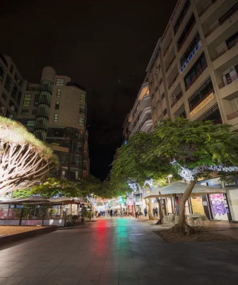 City Street With Trees and Buildings