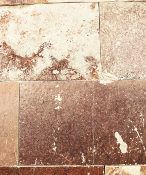Close Up of Wall