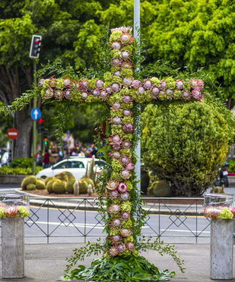 Tree With Flowers